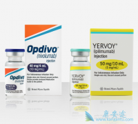CTLA-4���Ƽ�Yervoy����PD-1���Ƽ�Opdivo������Ч��