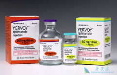 ��ô�ڹ��ڹ���CTLA-4���Ƽ�Ipilimumab��Yervoy��