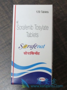 ��������(Sorafenib)��ҩ�����������Щ���ز�����Ӧ��