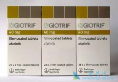 ����EGFR-TKIҩ�ﰢ������(Gilotrif)�����ҹ�ҽ������