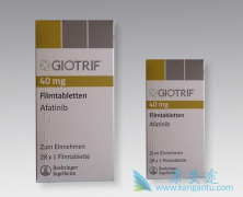 ��������(Afanix)��������ҩ����������һ��TKI��ҩ��