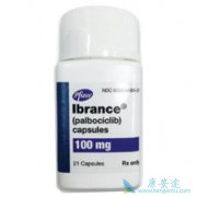 ��������(Palbociclib)���ܰ����ͻ�̥��������ͬ������Ч��