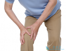 ���ڷ���������(Femara)���ܵ������ٰ����߹�������