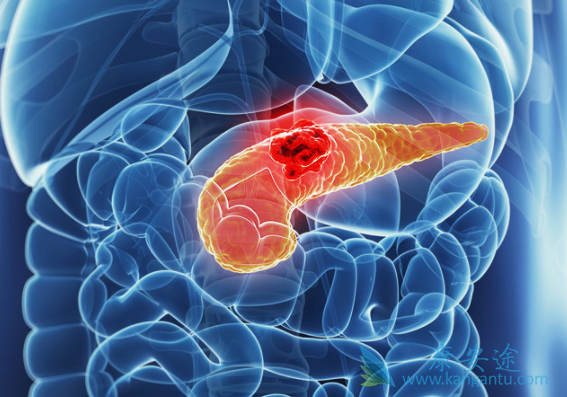 ���ٰ�����