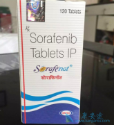 ��������(sorafenib)���ϷŻ�����������֯��������Ч