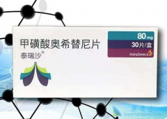 ������EGFR���Ƽ���ϣ���ᣨAZD9291���ǲ������TKI