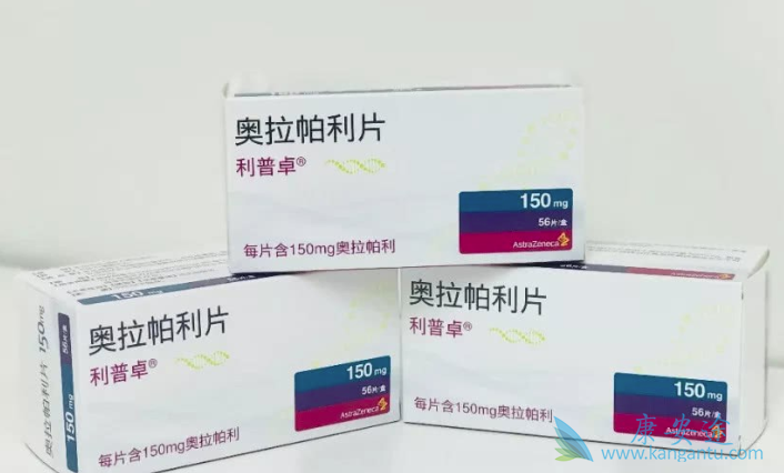 PARP抑制剂 PARP抑制剂