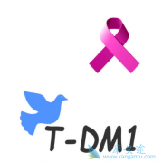 T-DM1鵥¸ƶHER2ٰߵЧ