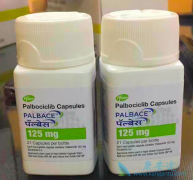 HER2阳性乳腺癌已经发生了脑转移还能用帕博西尼/爱博新吗？