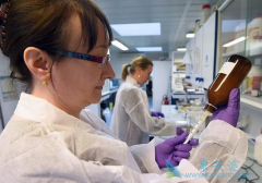 ��������(Alecensa)�����ֲ������������Ʒΰ���ȱ����