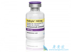 �ڶ�����ADCҩ��Kadcyla��T-DM1��������Ч����ô����