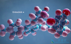 NTRK���Ƽ�Entrectinib������Ч����ô����