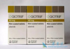 �����������������������Ͽ�ʹ��EGFR���Ƽ��ķΰ����߻���