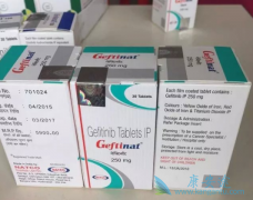 ӡ������ɳ(GEFINAT)�ڹ��ڵ��ٴ�������Ч������