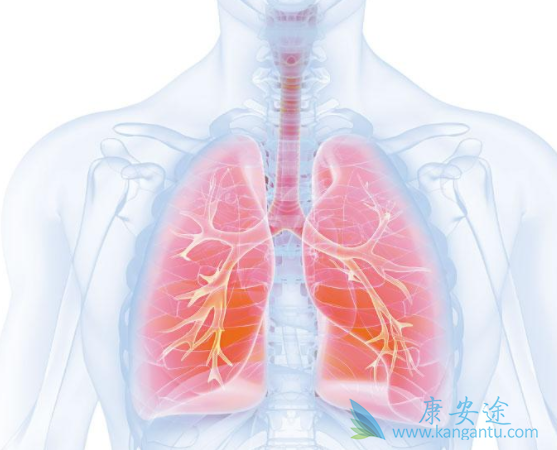 布吉他滨 布吉他滨