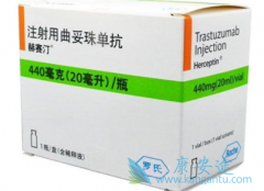 �����������鵥��(trastuzumab)���඾�Ե�Σ������