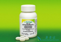 ӡ�Ȱ�������������ҩ��ɷֻ�����Ч�϶���ԭ��һ��