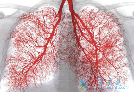 艾乐替尼 艾乐替尼
