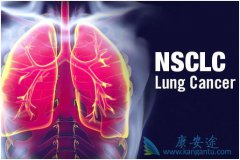 ���������ʺ�������Сϸ���ΰ����ߵļ������Ʒ�����