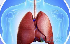 ���������Ϊ���ƺ�δ������չ��ת���Էΰ������ṩ����������