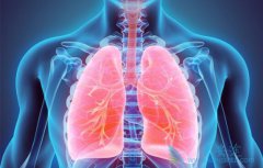 ��ЧԤ���ΰ������Ĺؼ�������Щ��