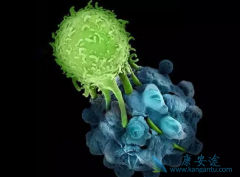 CAR-Tҩ��Kymriah��ʹ65%��DLBCL����һ����޸���