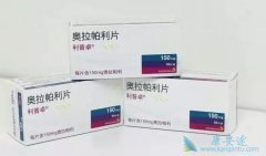 PARP���Ƽ����������ڹ��ڻ������Ʋ����и������ѳ�������