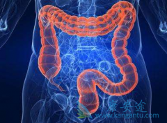 ��ֱ�����Ļ�����Ͷ԰�ɳ����/��ɳ����Ч��Ӱ��