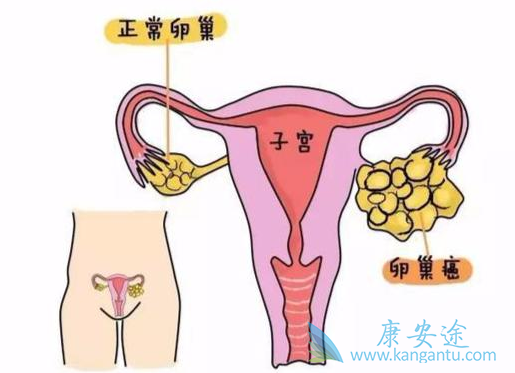 �ѳ���������֢״