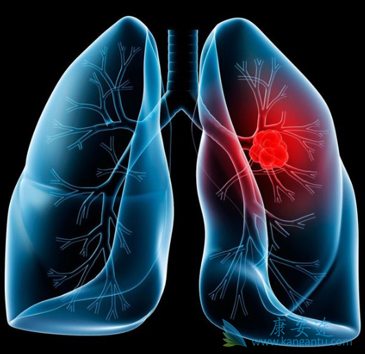 �ΰ����ڻᴫȾ��