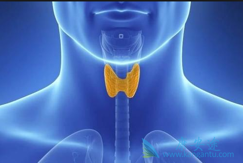 ��״�ٰ�������֢״