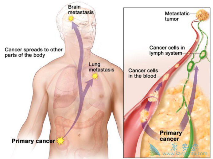 ����ת��