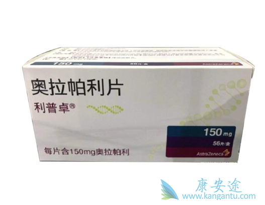 PARP抑制剂 PARP抑制剂