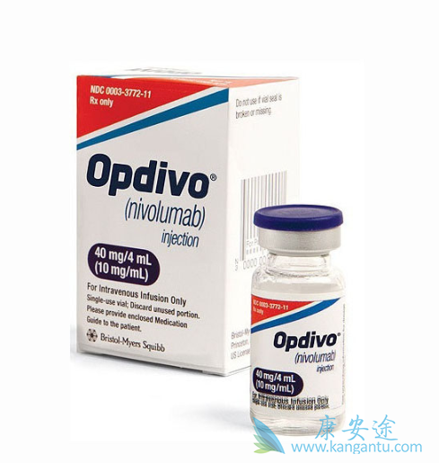 ���߼������Ƽ�