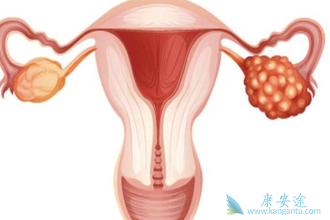 �ѳ�������