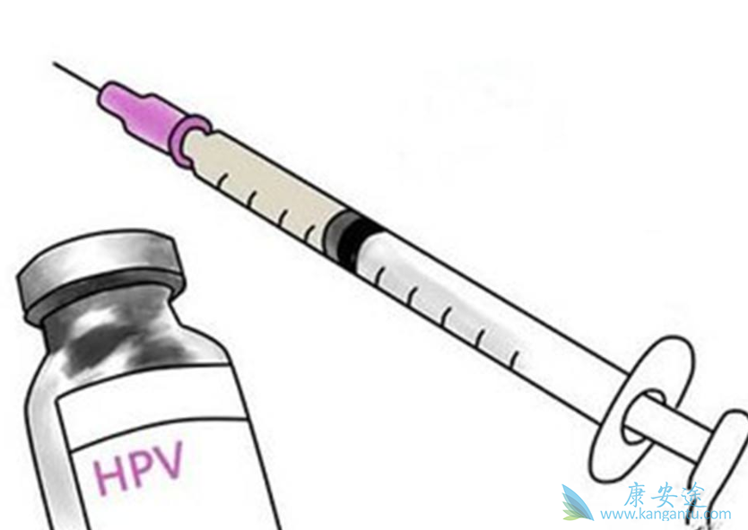 ������;��������