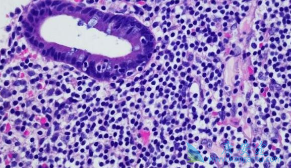 ����;��ɫ����