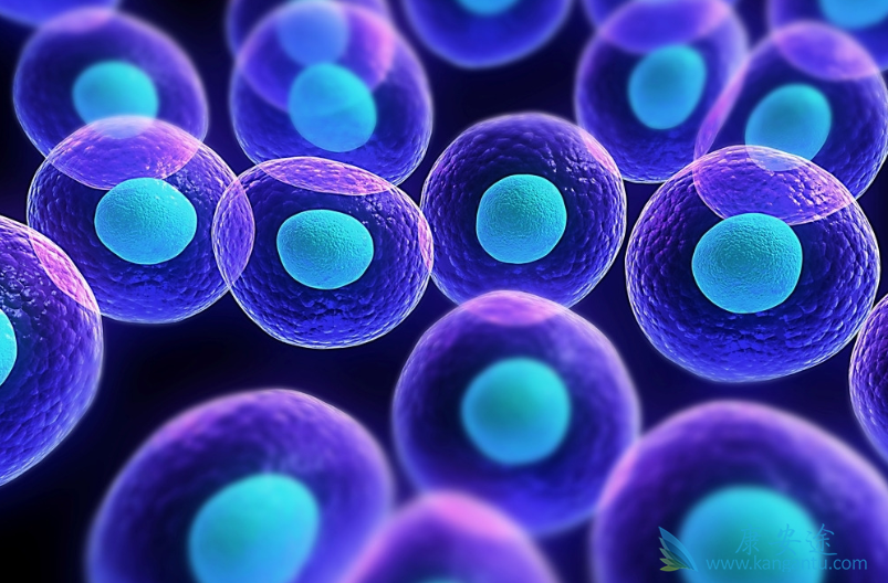 ����;��������