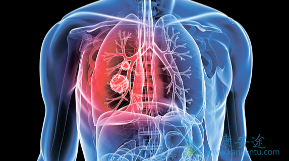 ���Ʒΰ�;�ΰ����ܻ���