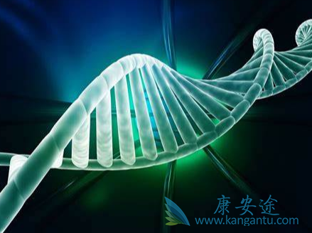 ��������;��������