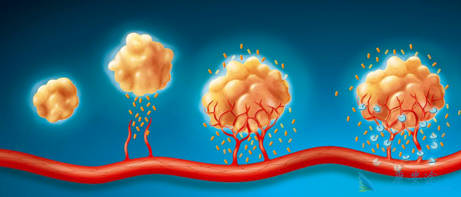 ��������;��������