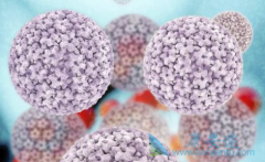 ���ο�����ʲô�����β����Ľṹ��ʲô��