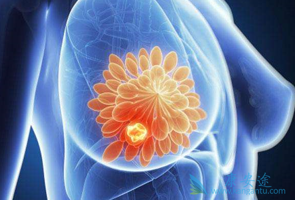 �ڷ�������