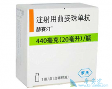 �����鵥����T-DM1�ĳɱ�Ч��Ƚ�