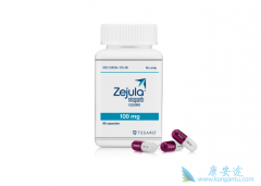 �ѳ�����ҩ��������/Niraparib����˵����