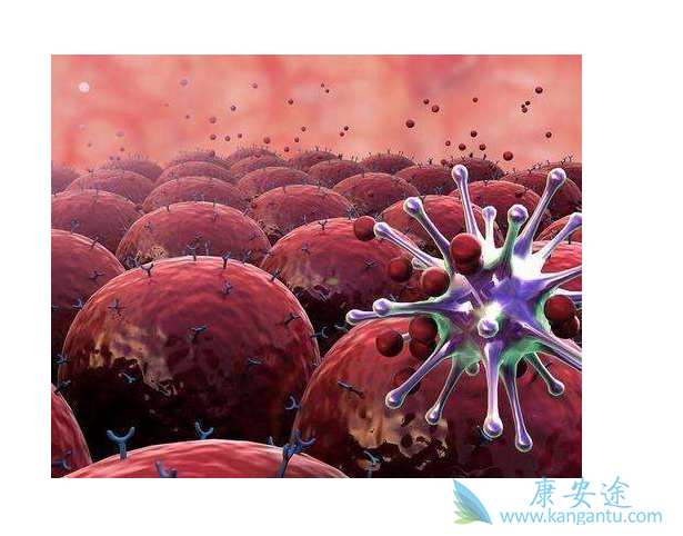 �����Ը���