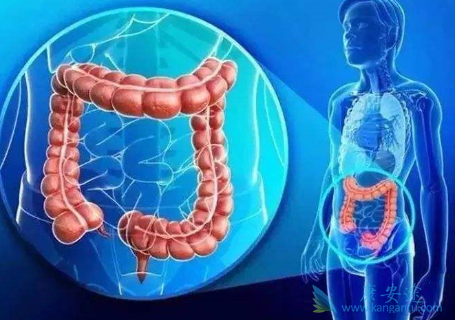 ��ֱ����