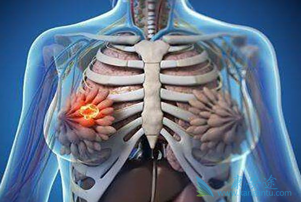 �ڷ�������