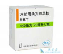 �����鵥������HER2�������ٰ���Ч����