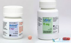 ��������/Tafinlar�ķ���˵����